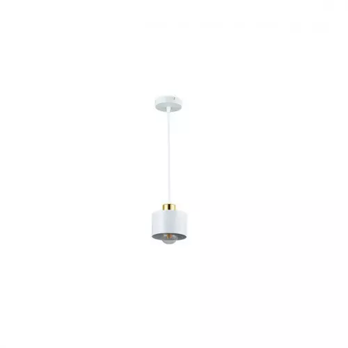 Oprawa wisząca Elza stalowa IP20 35W